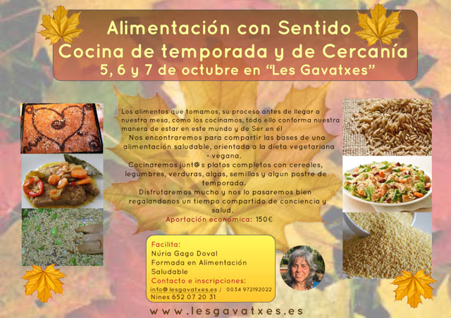 Alimentación con sentido